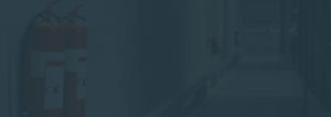 image footer