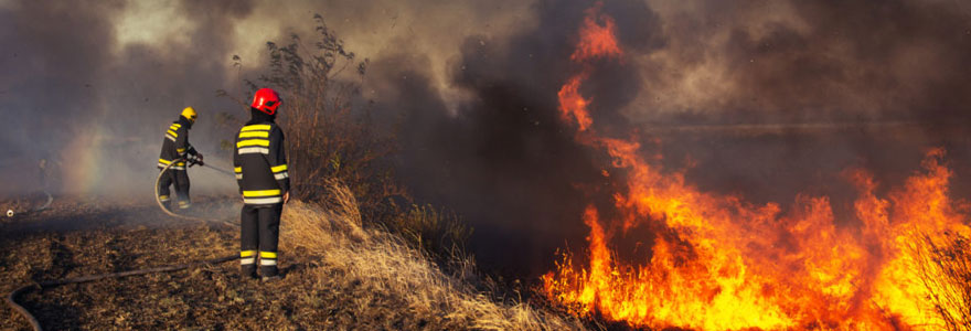 Extinction de feu de forêt